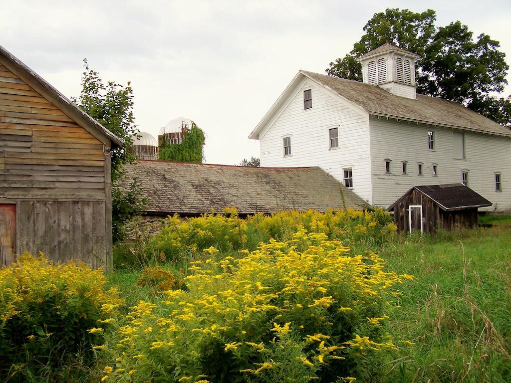 Saratoga Farmstead B&B Saratoga Springs Exterior foto