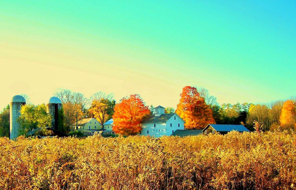Saratoga Farmstead B&B Saratoga Springs Exterior foto